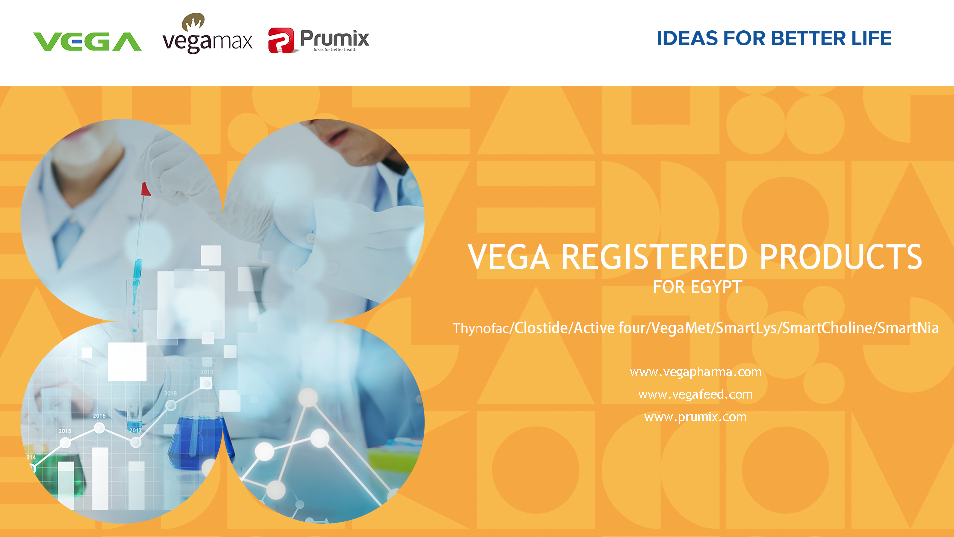 VEGA Registered products for Egypt.jpg